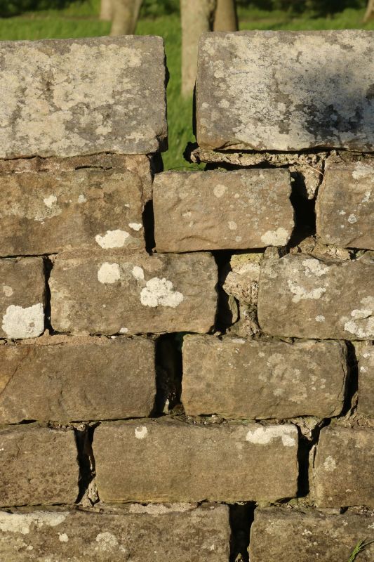 Stone Masonry Repair
