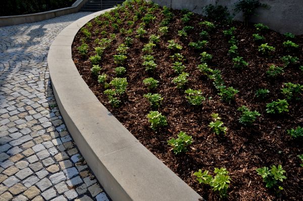Retaining Wall Repair in Edmonds
