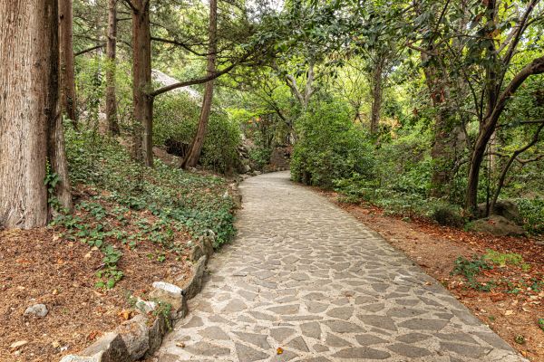 Stone Walkway Repair in Edmonds