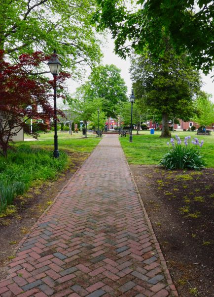 Brick Pathway Repair in Edmonds