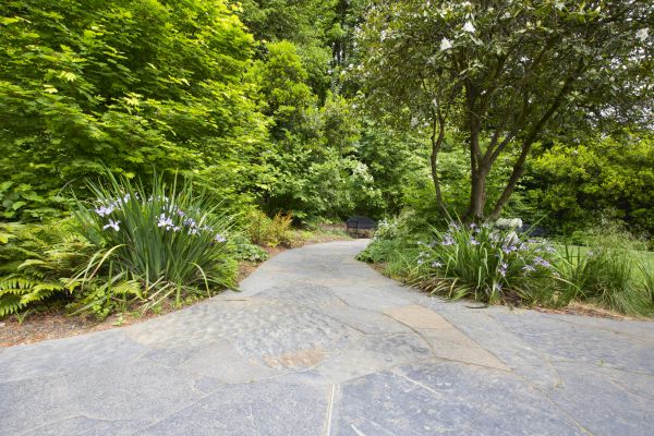 Stone Hardscape Service in Edmonds