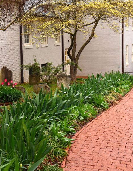 Brick Flatwork Repair in Edmonds